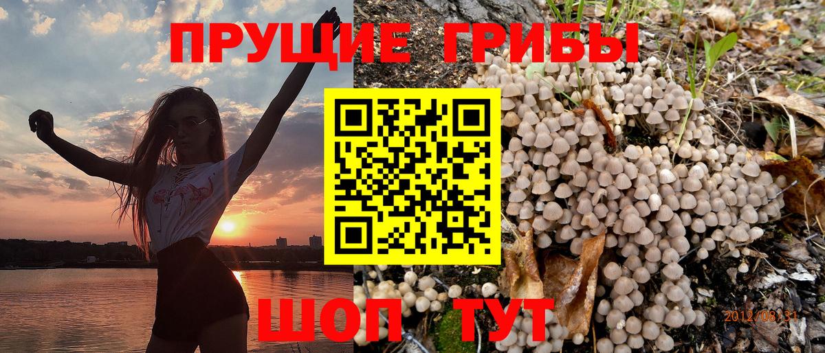 Галлюциногенные грибы мухоморы  Галлюциногенные грибы прущие грибы  Троицк  Вход с VPN 