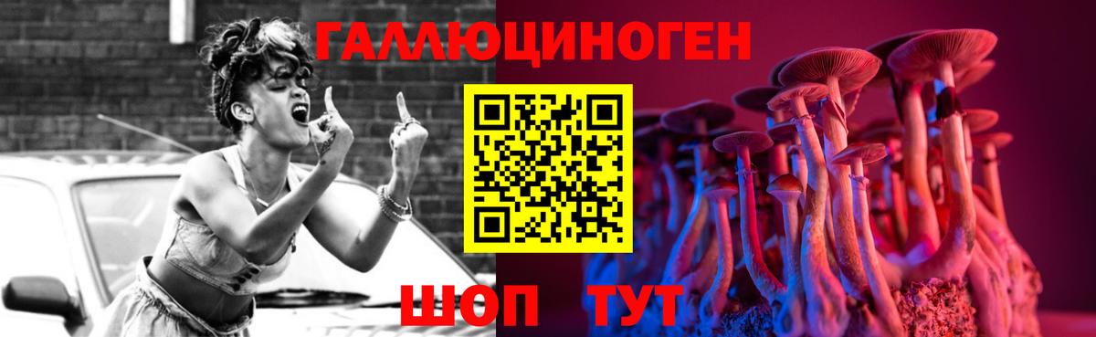 Псилоцибиновые грибы Psilocybine cubensis Троицк